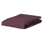 Essenza Perfect Dra På Lakan 140/160x200/220