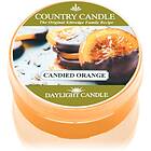 Country Candle Candied Orange värmeljus 42g