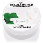 Kringle Candle Gardenia värmeljus 42g