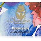 Li Quandisa Mysterious Fig Block Perfume