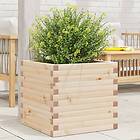 vidaXL Odlingslåda 50x50x46 cm massivt furuträ 3282404