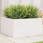 vidaXL Odlingslåda vit 90x90x46 cm massiv furu 3282425