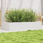 vidaXL Odlingslåda vit 110x60x23 cm massiv furu 847239