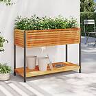 vidaXL Odlingslåda med hylla 110x45x80 cm massiv akacia och stål 367618