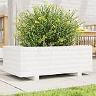 vidaXL Odlingslåda vit 70x40x26,5 cm massiv furu 847329