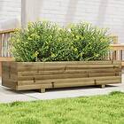 vidaXL Odlingslåda 110x40x26,5 cm impregnerat furu 847342