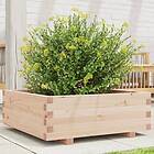 vidaXL Odlingslåda 70x70x26,5 cm massivt furuträ 847303