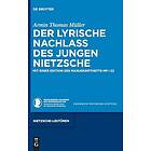 Der Lyrische Nachlass Des Jungen Nietzsche: Mit Einer Edition Des Manuskripthefts MP I 22