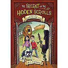 The Secret of the Hidden Scrolls: Race to the Ark, Book 2