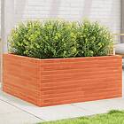 vidaXL Odlingslåda vaxbrun 100x100x46 cm massiv furu 3282431