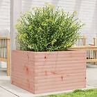 vidaXL Odlingslåda 70x70x45,5 cm massivt douglasträ 847256