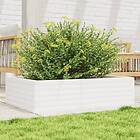vidaXL Odlingslåda 90x60x23 cm vit massiv furu 847234