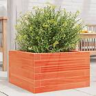 vidaXL Odlingslåda vaxbrun 40x40x23 cm massiv furu 847180