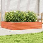 vidaXL Odlingslåda vaxbrun 110x110x23 cm massiv furu 847215