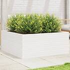 vidaXL Odlingslåda vit 110x110x46 cm massiv furu 3282435