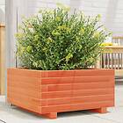 vidaXL Odlingslåda vaxbrun 50x50x26,5 cm massiv furu 847295