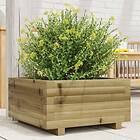 vidaXL Odlingslåda 50x50x26,5 cm impregnerat furu 847297