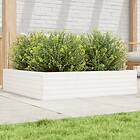vidaXL Odlingslåda vit 100x100x23 cm massiv furu 847209