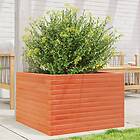 vidaXL Odlingslåda vaxbrun 70x70x45,5 cm massiv furu 847255