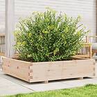 vidaXL Odlingslåda 100x100x26,5 cm massivt furuträ 847318