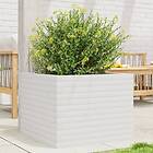 vidaXL Odlingslåda vit 60x60x45,5 cm massiv furu 847249
