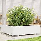 vidaXL Odlingslåda 90x90x26,5 cm vit massiv furu 847314
