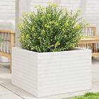vidaXL Odlingslåda vit 70x70x46 cm massiv furu 3282415