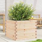 vidaXL Odlingslåda 60x60x45,5 cm massivt furuträ 847248