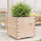 vidaXL Odlingslåda 50x50x49,5 cm massivt furuträ 3282514