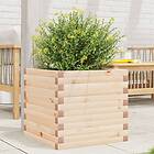 vidaXL Odlingslåda 50x50x45,5 cm massivt furuträ 847243