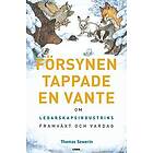 Försynen tappade en vante