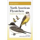 Field Guide to North American Flycatchers