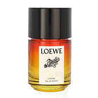 Loewe Paula's Ibiza Cosmic edp 100ml