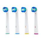 Kulz Oral Care Classic 4-pack