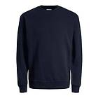 Jack & Jones Junior Bradley Sweat Crew