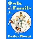 Owls In The Family