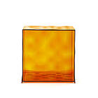 Kartell Optic Container