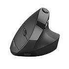 JLab Audio JBuds Ergonomic Mouse