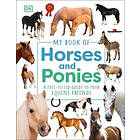 My Book of Horses and Ponies
