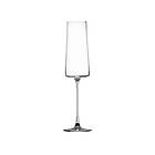 Ichendorf Milano Manhattan Flute Champagneglas 25cl 