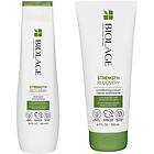 Biolage Strength Recovery Routine For Damaged Hair Set