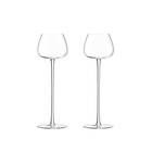 LSA International Bar Culture Liqueur Glass 2-set