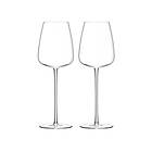 LSA International Wine Culture White Wine Glass 2-pack