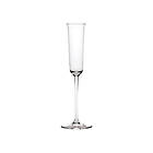 Serax Grace Champagne Glass 10cl