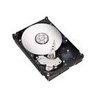 Seagate DB35 ST3300831ACE 8MB 300GB