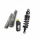 Touratech Bmw G310gs 17-22 01-300-5840-0 Lowering Kit Silver