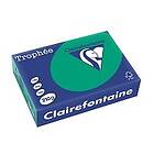 Clairefontaine 210g A4 papper furugrön 250 ark