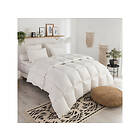 Dodo Couette Duvet Tradition temperee 70% d'Oie