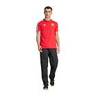 Adidas Manchester United DNA t-shirt (Herr)