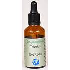 Örtspecialisten Tribulus 1000G 50ml